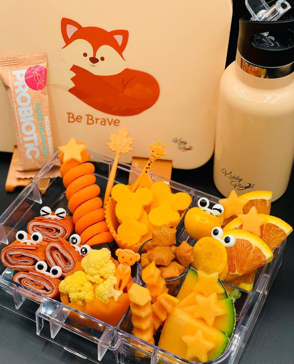 My Dinosaur Bundle - Bento Lunch Bag Essentials - The Best Set for Back to School