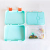 Opened Turquoise Dino Bento Lunch Box from Kiddy Planet - Turquoise Dino Child Pack which include a bento Lunch box , water bottle and set of food cutters