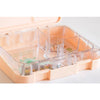 5 compartments of the Fox Bento Boxes from Kiddy Planet Bento Lunch Box
