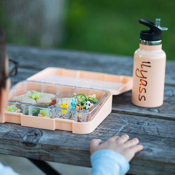 Ilyass watching his set of Peach Stainless Steel Water Bottle and his Bento Lunch Box made by Kiddy Planet Bento Lunch Box